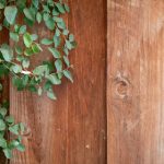 7星直播:开启全新互动娱乐时代的璀璨之星 atnhy