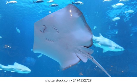 802开奖前后出现的神秘现象大揭秘