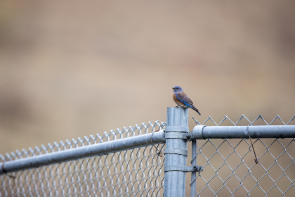 玩老虎机不再亏损:利用优惠提升你的胜率与体验