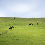 80期开奖结果震撼揭晓,幸运号码花落谁家? gqz5rj4p2g