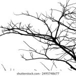 8090彩票开奖查询,实时掌握最新中奖信息 l7di95wfg