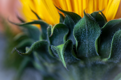 7彩开奖最新结果揭晓，幸运号码震撼公布！