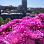 7星体育直播网站:高清赛事尽在掌握,畅享精彩体育盛宴 o0qwcv9s5