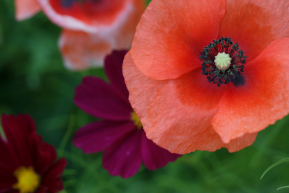 玩转头彩娱乐平台：新手必知的注册与游戏技巧