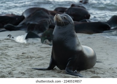 7月30号开奖结果即将揭晓敬请期待