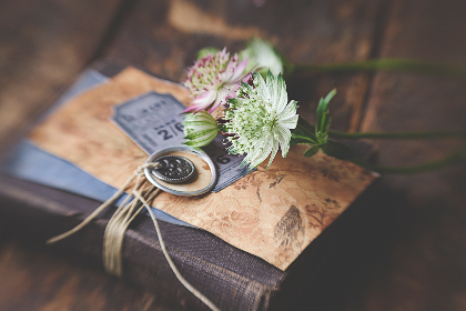 狮子王平台：带你领略精彩纷呈的在线娱乐世界