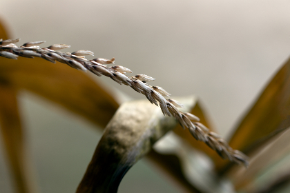 王者至尊:揭示游戏背后的策略与团队合作的重要性