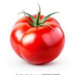 NBA现场直播火热开启,即刻锁定精彩对决! b787er77k